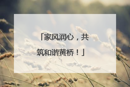 家风润心，共筑和谐黄桥！