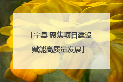 宁县 聚焦项目建设 赋能高质量发展