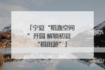 宁夏“稻渔空间”开园 解锁初夏“稻田游”