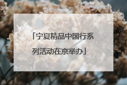 宁夏精品中国行系列活动在京举办