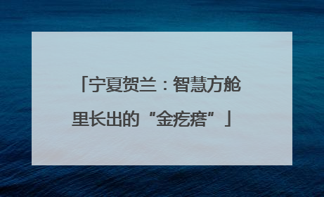 宁夏贺兰：智慧方舱里长出的“金疙瘩”