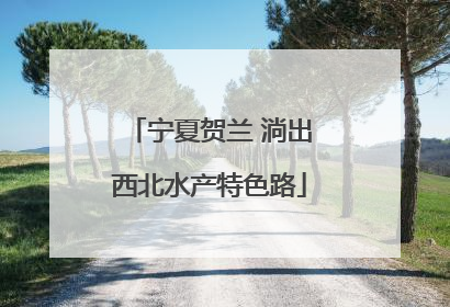 宁夏贺兰 淌出西北水产特色路