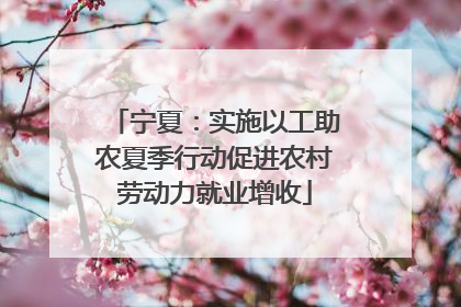 宁夏：实施以工助农夏季行动促进农村劳动力就业增收