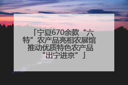 宁夏670余款“六特”农产品亮相农展馆 推动优质特色农产品“出宁进京”