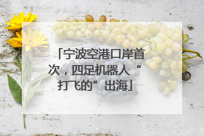宁波空港口岸首次，四足机器人“打飞的”出海