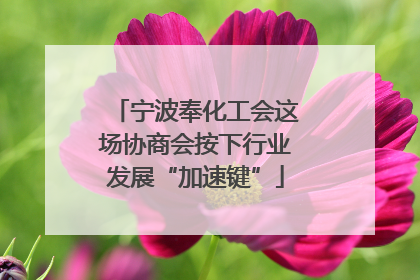 宁波奉化工会这场协商会按下行业发展“加速键”