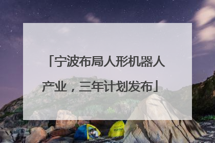 宁波布局人形机器人产业，三年计划发布
