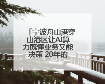 宁波舟山港穿山港区让AI算力既懂业务又能决策 20年的数据“喂”出更聪明的港口