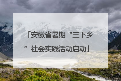 安徽省暑期“三下乡”社会实践活动启动