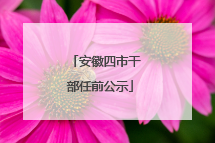 安徽四市干部任前公示