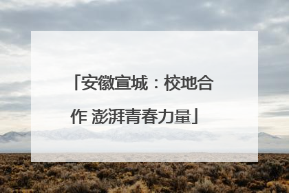 安徽宣城：校地合作 澎湃青春力量