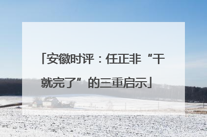 安徽时评：任正非“干就完了”的三重启示