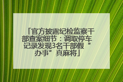 官方披露纪检监察干部查案细节：调取停车记录发现3名干部假“办事”真麻将