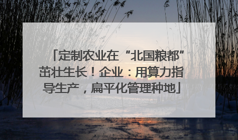 定制农业在“北国粮都”茁壮生长！企业：用算力指导生产，扁平化管理种地