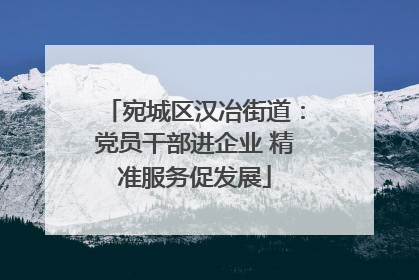宛城区汉冶街道：党员干部进企业 精准服务促发展