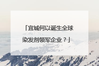 宜城何以诞生全球染发剂领军企业？
