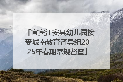 宜宾江安县幼儿园接受城南教育督导组2025年春期常规督查