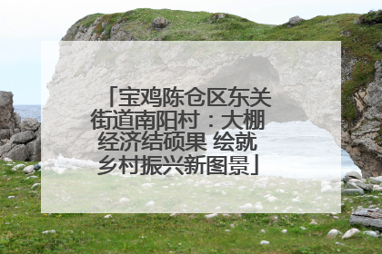 宝鸡陈仓区东关街道南阳村：大棚经济结硕果 绘就乡村振兴新图景