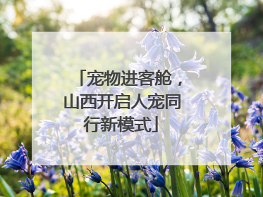 宠物进客舱，山西开启人宠同行新模式