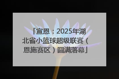 宣恩：2025年湖北省小篮球超级联赛（恩施赛区）圆满落幕