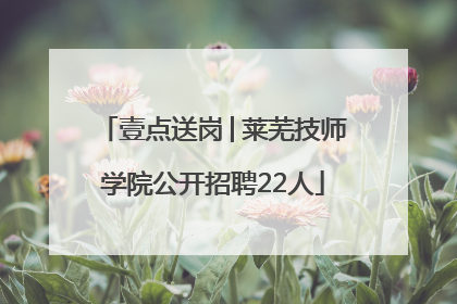 壹点送岗│莱芜技师学院公开招聘22人