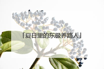 夏日里的东极养路人