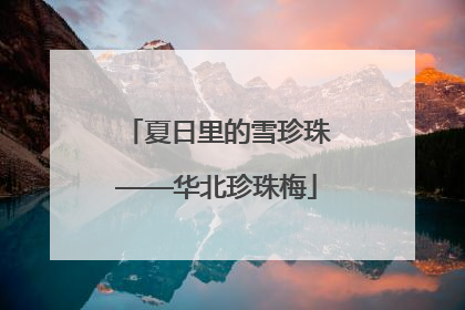 夏日里的雪珍珠——华北珍珠梅