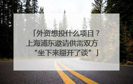 外资想投什么项目？上海浦东邀请供需双方“坐下来掰开了谈”