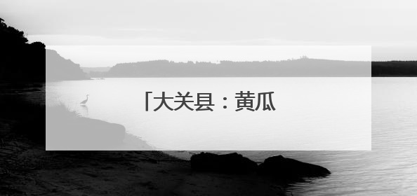 大关县：黄瓜触网销路宽
