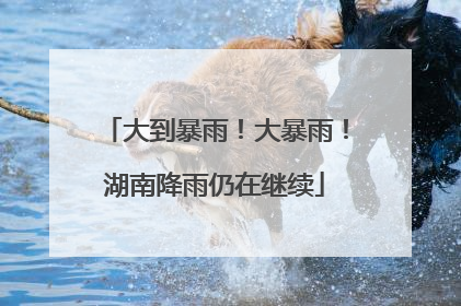大到暴雨！大暴雨！湖南降雨仍在继续