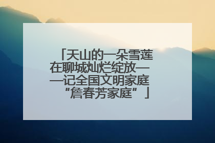天山的一朵雪莲在聊城灿烂绽放——记全国文明家庭“詹春芳家庭”