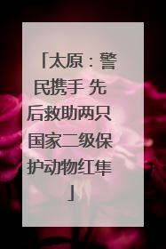 太原：警民携手 先后救助两只国家二级保护动物红隼