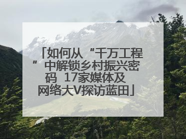 如何从“千万工程”中解锁乡村振兴密码  17家媒体及网络大V探访蓝田