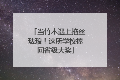 当竹木遇上掐丝珐琅！这所学校捧回省级大奖