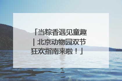 当粽香遇见童趣｜北京动物园双节狂欢指南来啦！