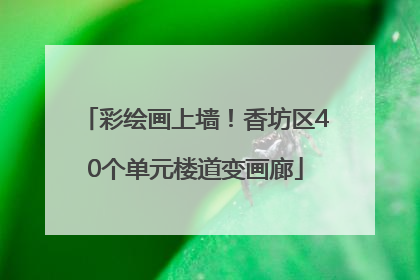 彩绘画上墙！香坊区40个单元楼道变画廊