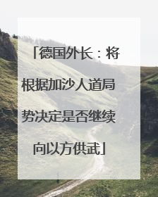 德国外长：将根据加沙人道局势决定是否继续向以方供武
