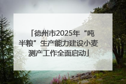 德州市2025年“吨半粮”生产能力建设小麦测产工作全面启动