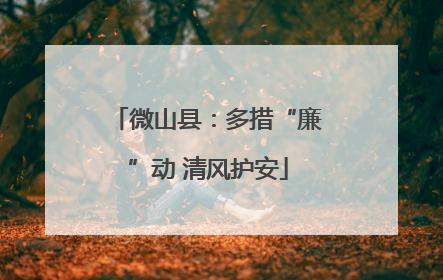 微山县：多措“廉”动 清风护安
