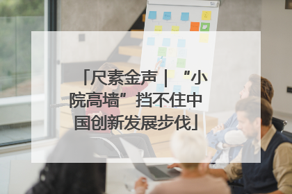 尺素金声｜“小院高墙”挡不住中国创新发展步伐