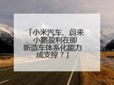 小米汽车、蔚来、小鹏盈利在即 新造车体系化能力成支撑？