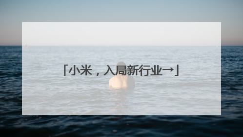 小米，入局新行业→