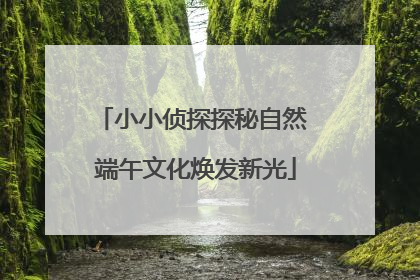 小小侦探探秘自然 端午文化焕发新光