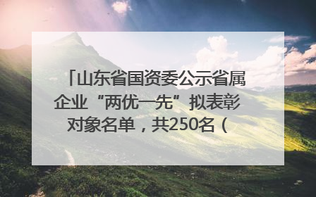 山东省国资委公示省属企业“两优一先”拟表彰对象名单，共250名（个）党员和党组织