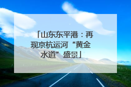 山东东平港：再现京杭运河“黄金水道”盛景