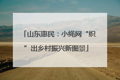 山东惠民：小绳网“织”出乡村振兴新图景