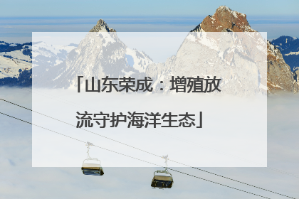 山东荣成：增殖放流守护海洋生态