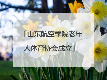 山东航空学院老年人体育协会成立