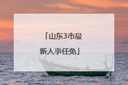 山东3市最新人事任免