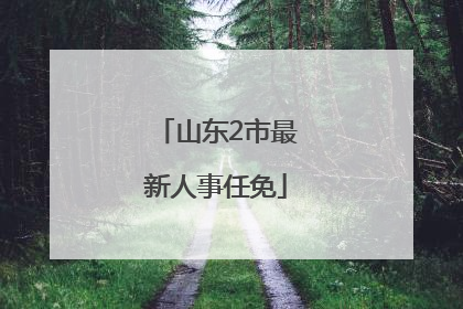 山东2市最新人事任免